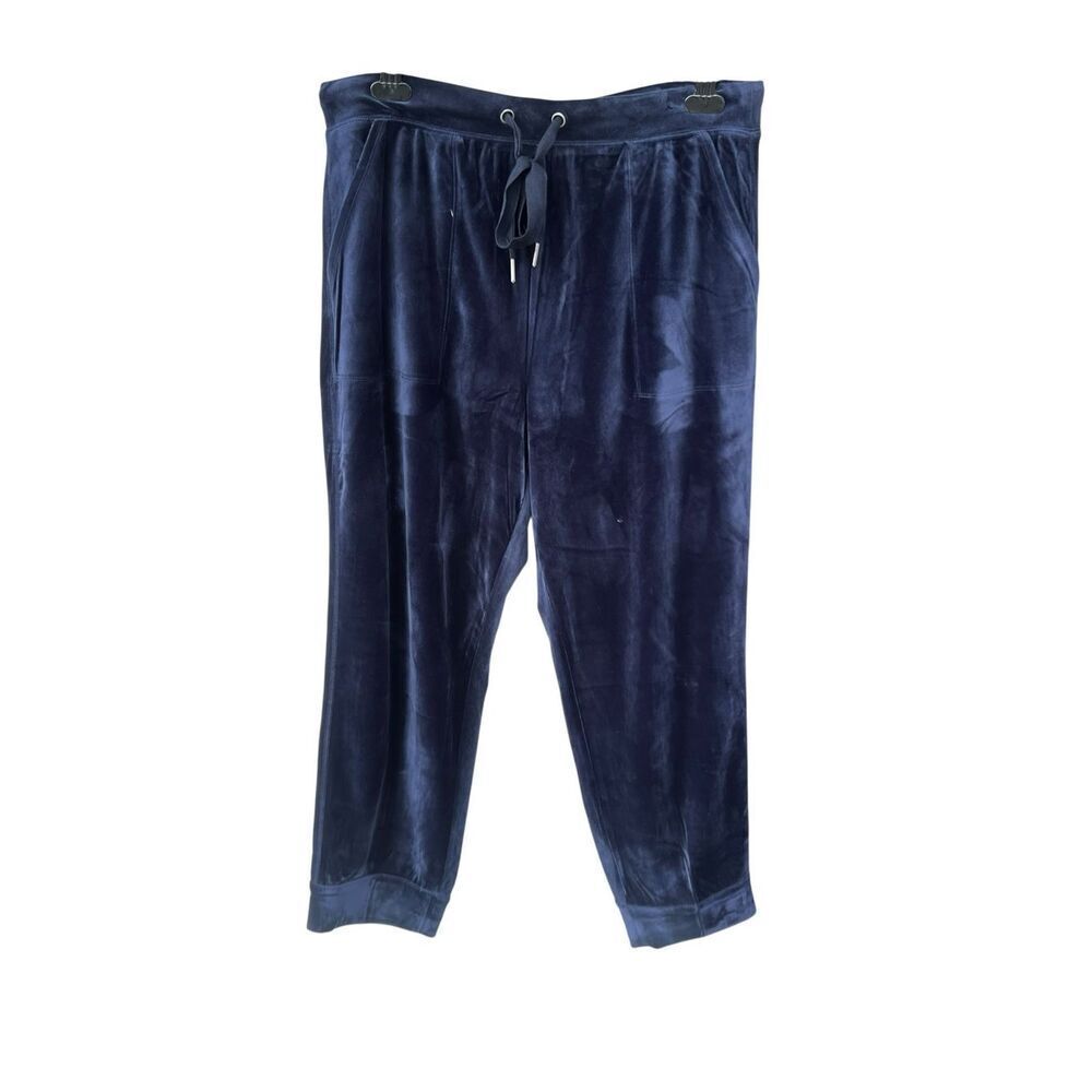 Saturday Sunday Anthropologie Womens Pants Large Blue velvet Jogger pull on